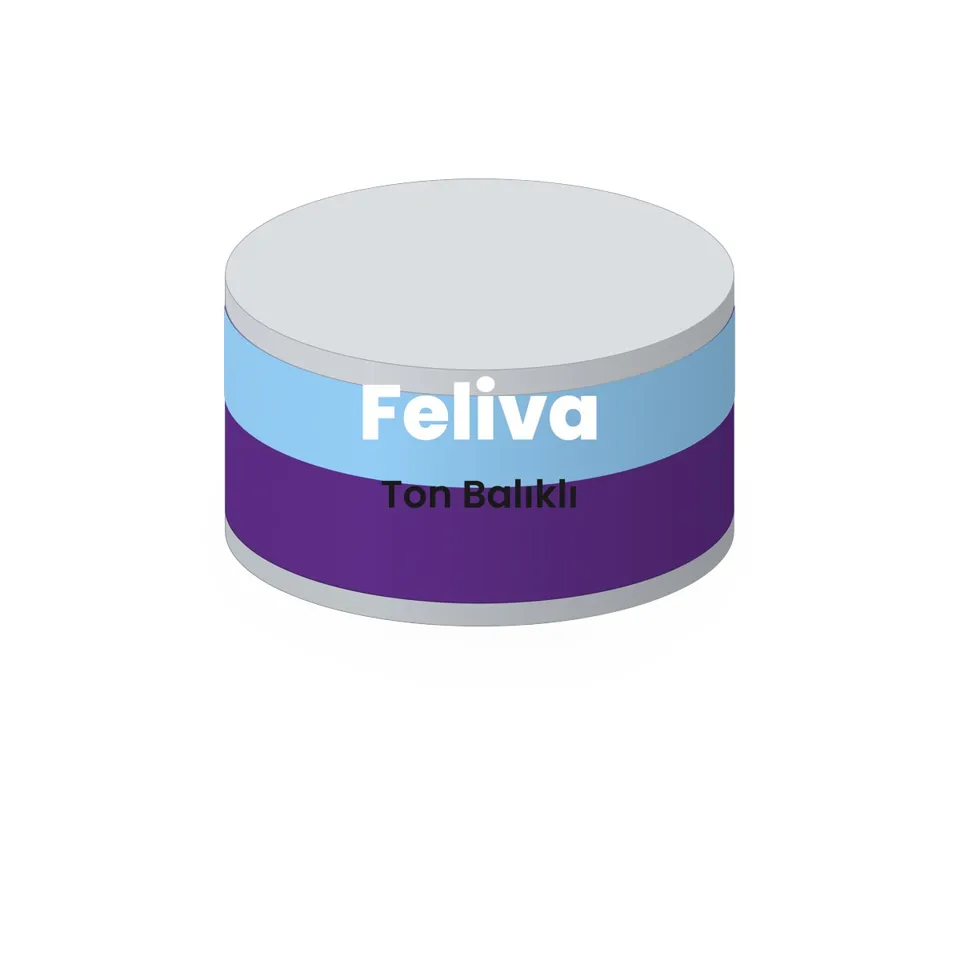 Feliva Ton Balıklı Yetişkin Kedi Konservesi 85 g