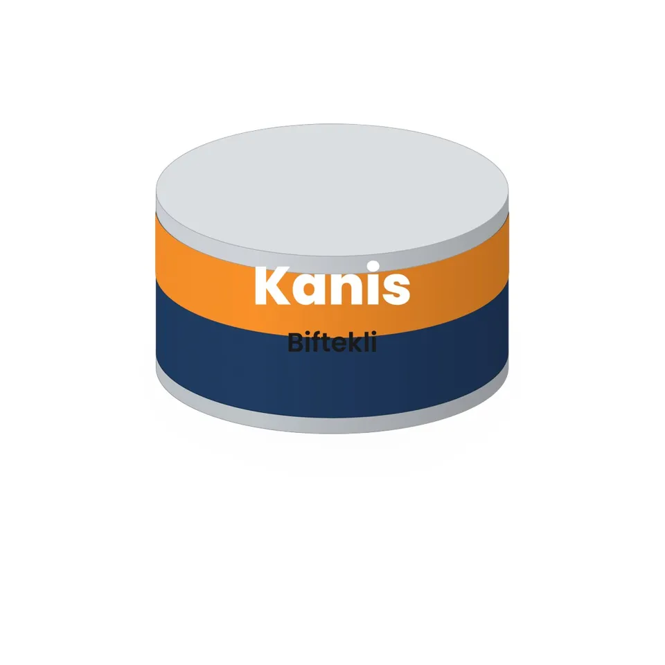 Kanis Biftekli Köpek Konservesi 400 g
